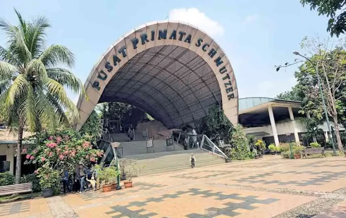 ragam primata langka di Pusat Primata Schmutzer
