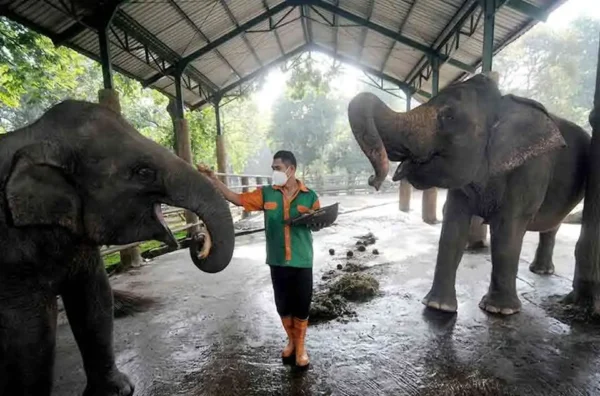 rekomendasi rute edukasi satwa terbaik untuk anak sekolah