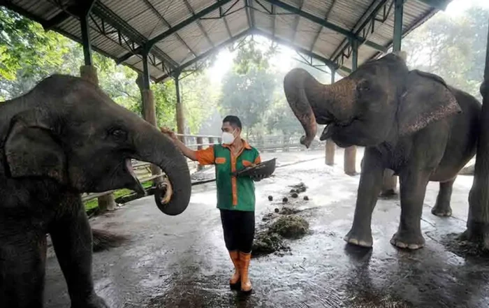 rekomendasi rute edukasi satwa terbaik untuk anak sekolah