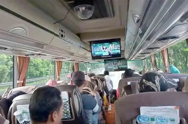 sewa bus pariwisata ke Puncak Bogor anti mabuk