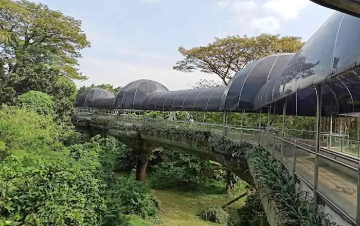 spot foto instagramable di Kebun Binatang Ragunan