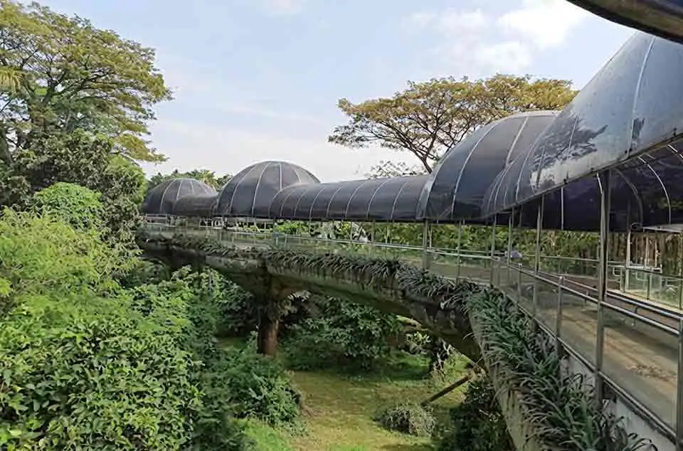 spot foto instagramable di Kebun Binatang Ragunan
