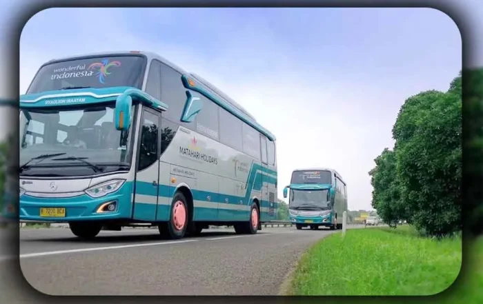 Alasan Bus Pariwisata Menjadi Pilihan Terbaik untuk Wisata Rombongan