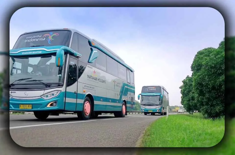 Alasan Bus Pariwisata Menjadi Pilihan Terbaik untuk Wisata Rombongan