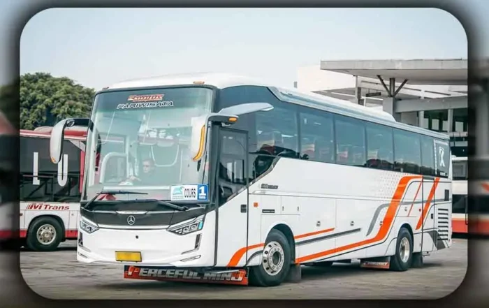 Asuransi Bus Pariwisata untuk Layanan Darurat di Luar Kota dari Tangerang