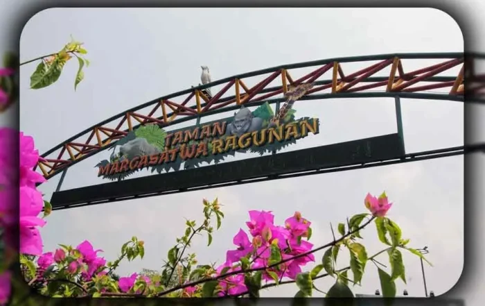 Detil Objek Wisata Ragunan