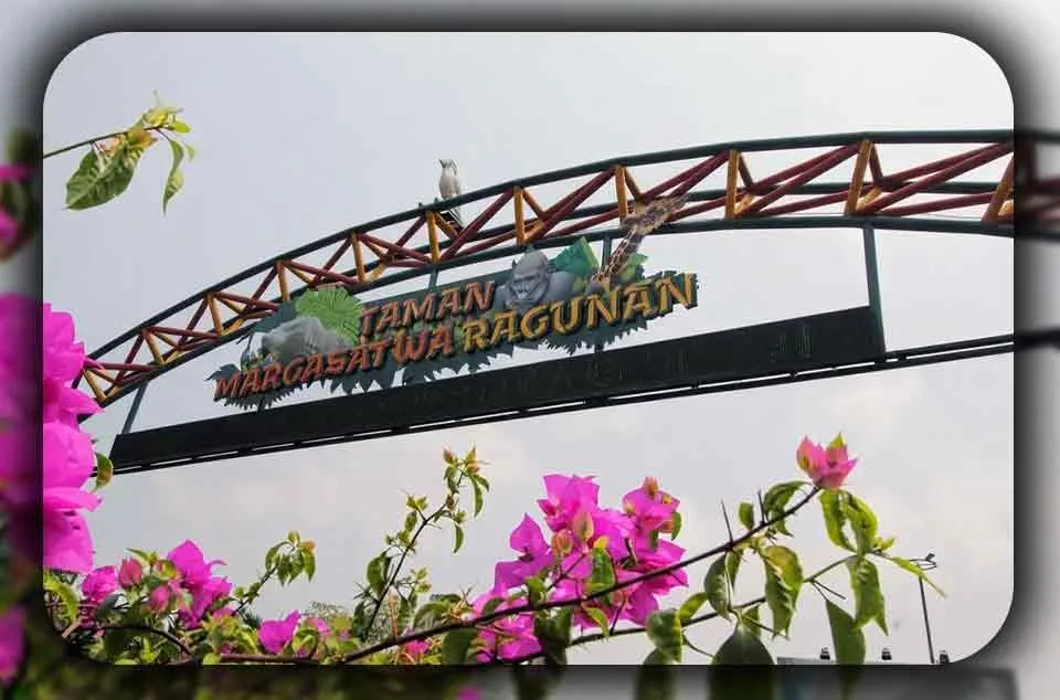 Detil Objek Wisata Ragunan