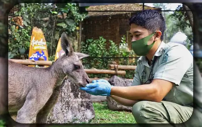 Fungsi Kebun Binatang dalam Edukasi Lingkungan