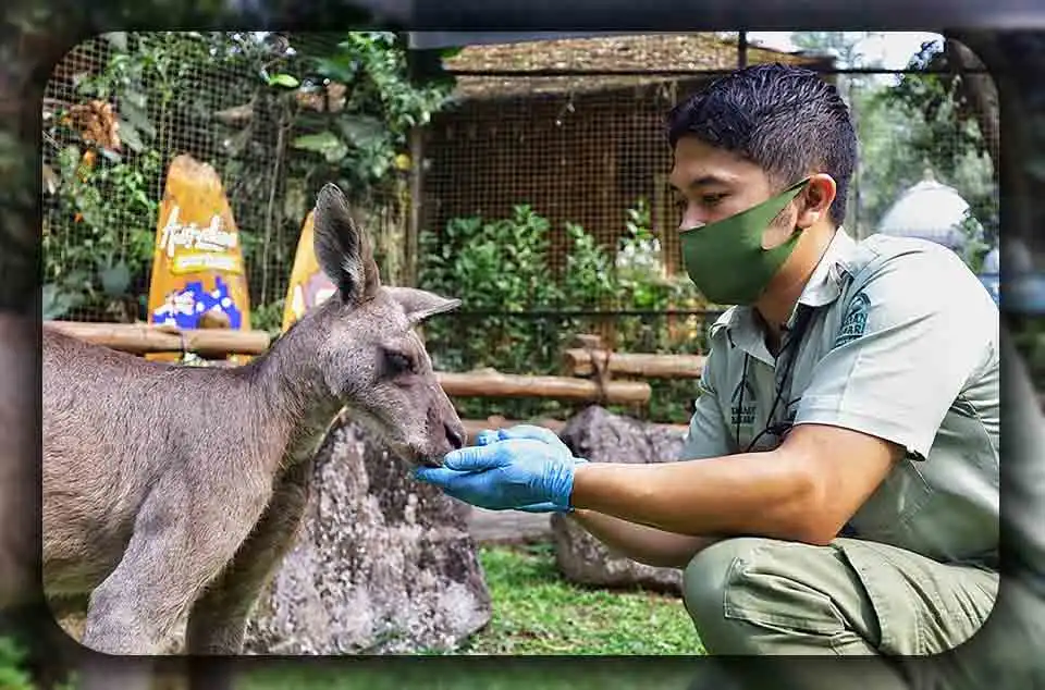 Fungsi Kebun Binatang dalam Edukasi Lingkungan