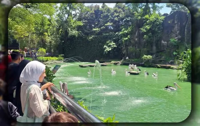Perbandingan Ragunan dengan Kebun Binatang Bandung