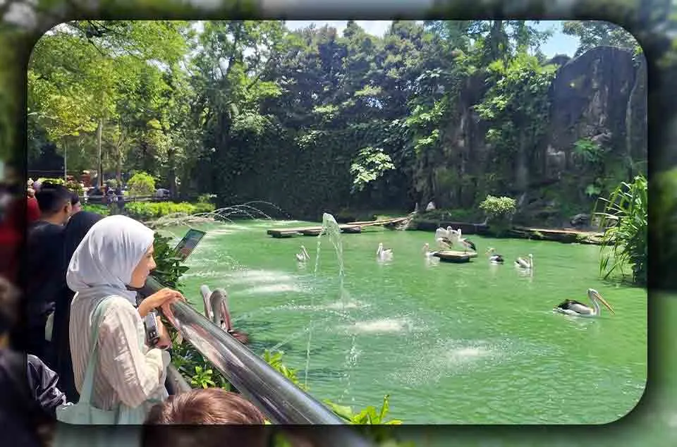 Perbandingan Ragunan dengan Kebun Binatang Bandung