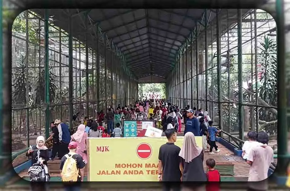 Tips Liburan Hemat ke Ragunan