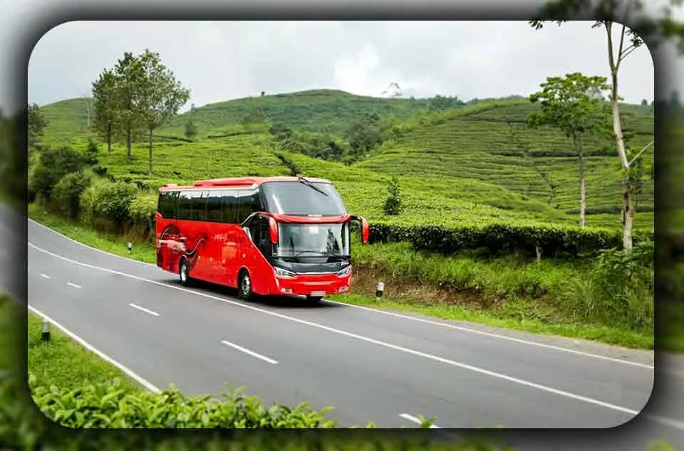 Tren Bus Pariwisata Mewah di Indonesia