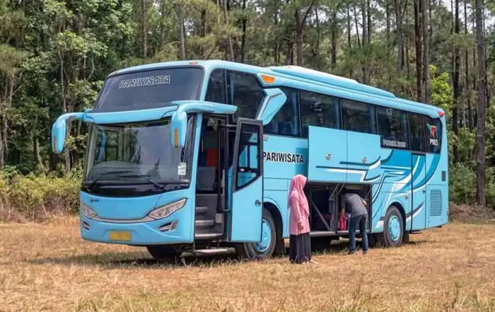 cara menurunkan angka opasitas bus diesel pariwisata