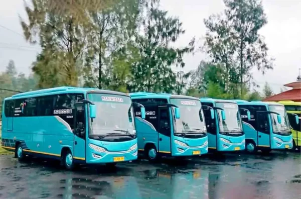 estimasi harga sewa bus pariwisata per hari 2026