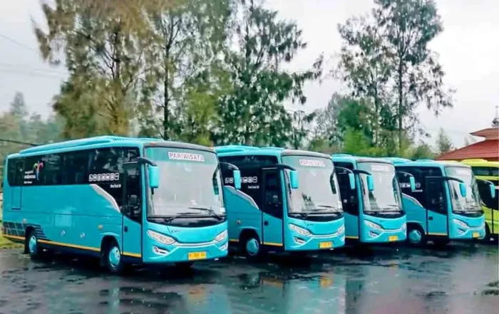 estimasi harga sewa bus pariwisata per hari 2026