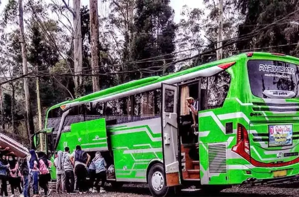 harga sewa bus pariwisata Jakarta untuk outing kantor