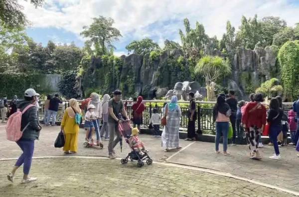 harga tiket masuk Kebun Binatang Ragunan terbaru