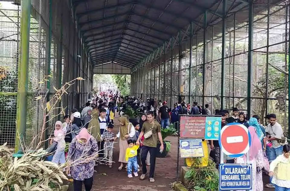 jam buka operasional Taman Margasatwa Ragunan hari ini