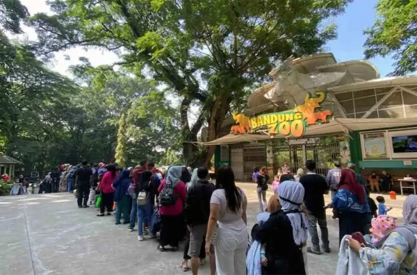 perbedaan harga tiket masuk Ragunan dan Bandung Zoo