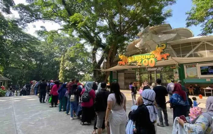 perbedaan harga tiket masuk Ragunan dan Bandung Zoo