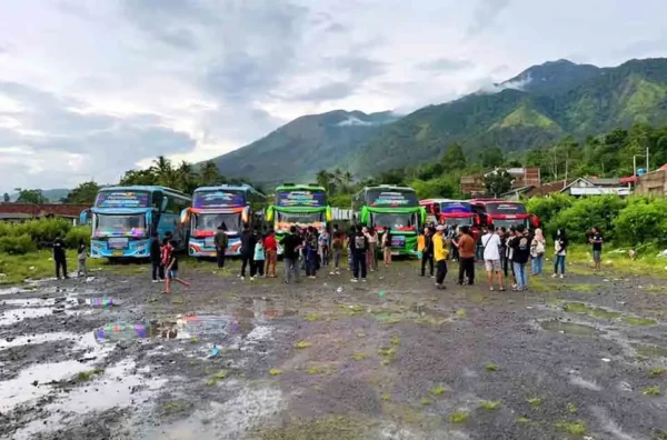 rata-rata harga sewa bus pariwisata per hari