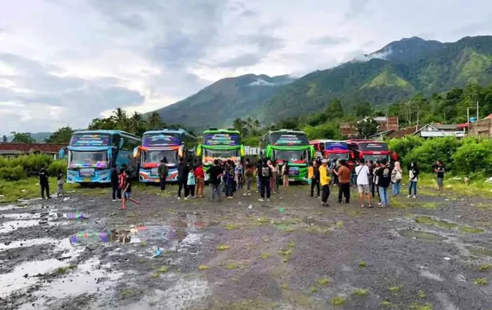 rata-rata harga sewa bus pariwisata per hari