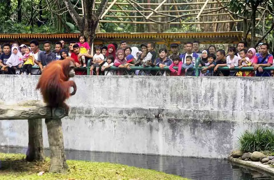 rekomendasi tempat foto instagramable di Ragunan terbaru