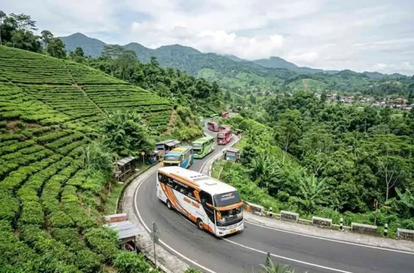 rute jalan paling ekstrem dan berbahaya untuk bus di Bogor