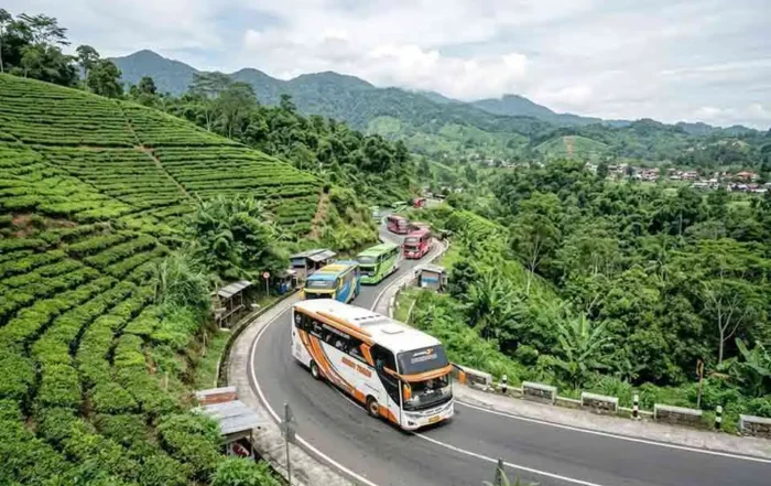 rute jalan paling ekstrem dan berbahaya untuk bus di Bogor