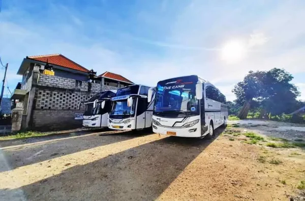 tips aman transaksi DP sewa bus pariwisata