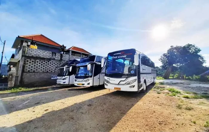 tips aman transaksi DP sewa bus pariwisata