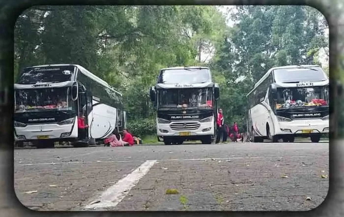 Alasan Rombongan Keluarga Memilih Bus Mewah untuk Perjalanan Jarak Jauh dari Tangerang