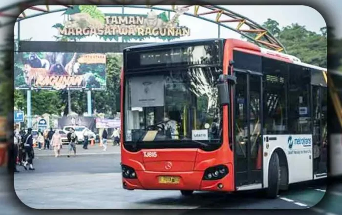 Bagaimana Cara ke Ragunan dari Luar Kota