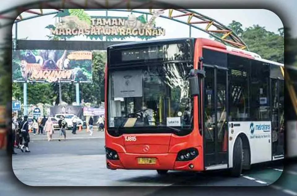 Bagaimana Cara ke Ragunan dari Luar Kota
