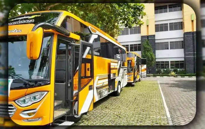 Kapan Memilih Bus Kapasitas Lebih Kecil Demi Bagasi yang Lebih Luas dari Bekasi