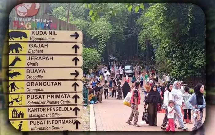 Kapan Waktu Terbaik ke Ragunan