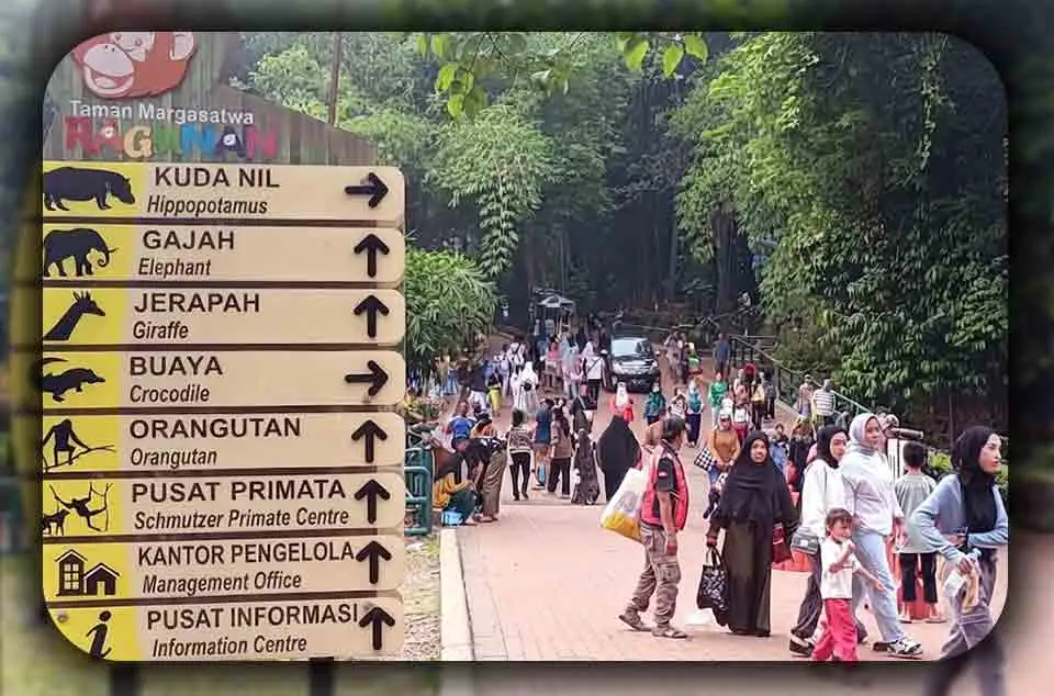 Kapan Waktu Terbaik ke Ragunan