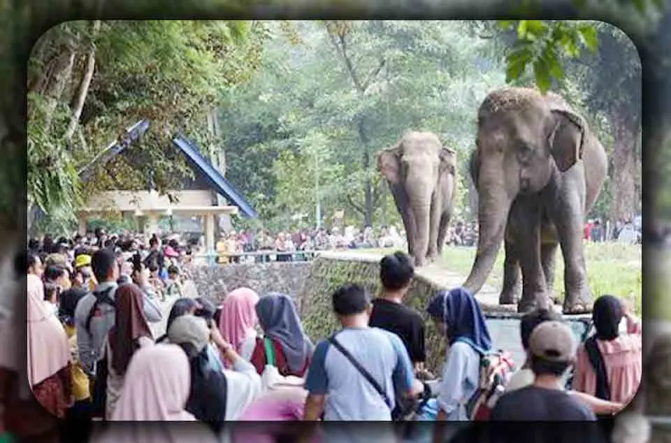 Kisah Liburan Hemat ke Ragunan Bersama Teman