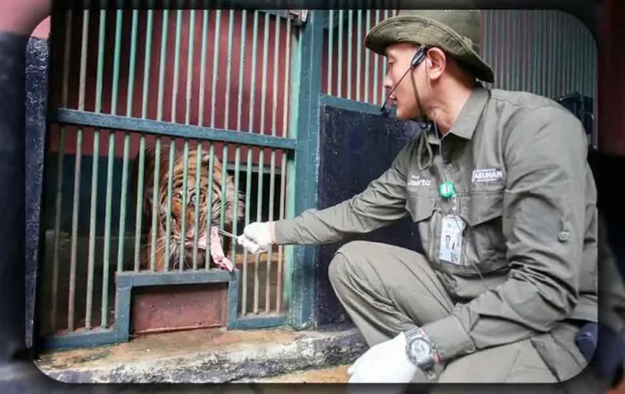 Pentingnya Konservasi Satwa di Ragunan