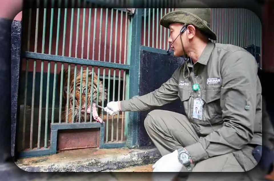 Pentingnya Konservasi Satwa di Ragunan