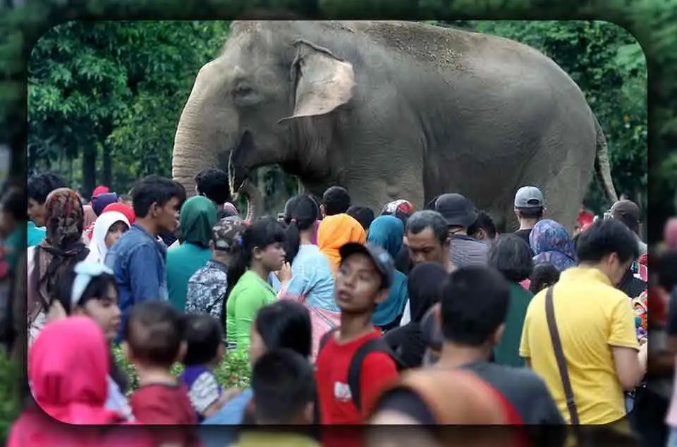 Perbandingan Hemat antara Ragunan atau Dufan