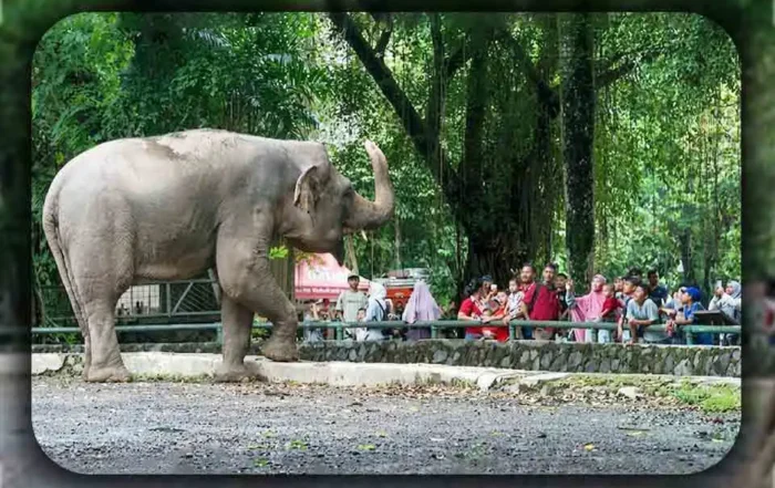 Perbandingan Ragunan di Hari Biasa dan Akhir Pekan