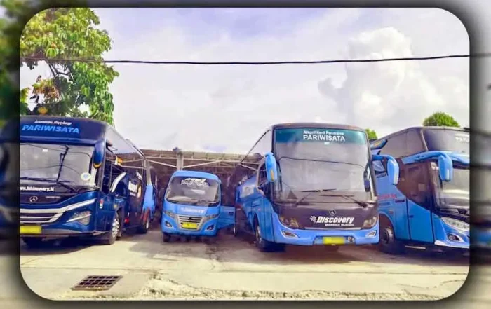 Pilih mana Bus Besar atau Bus Sedang