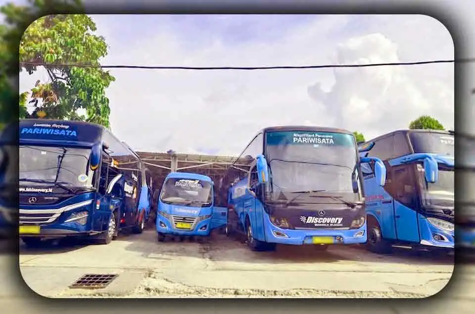 Pilih mana Bus Besar atau Bus Sedang