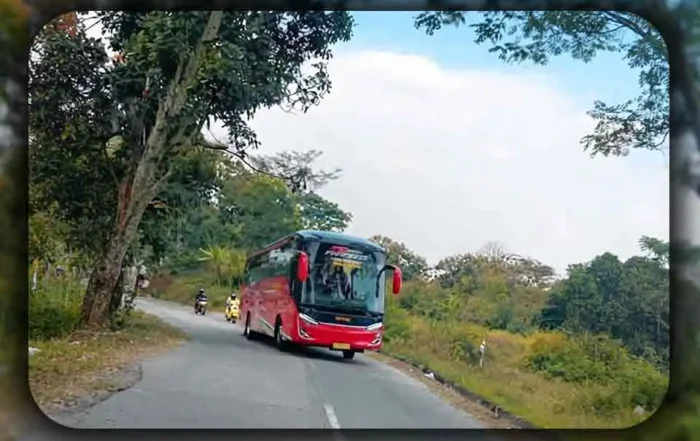 Standar Higienitas Bus Pariwisata untuk Liburan Keluarga Jarak Jauh dari Tangerang