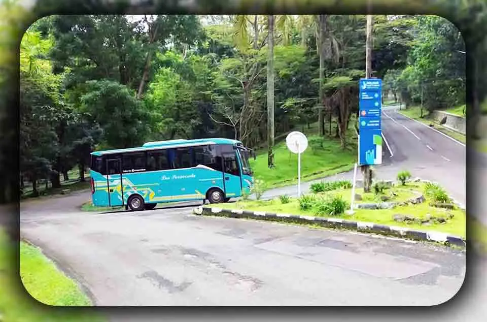 Strategi Menyewa Bus Medium untuk Rombongan Besar pada Rute Akses Terbatas di Bogor