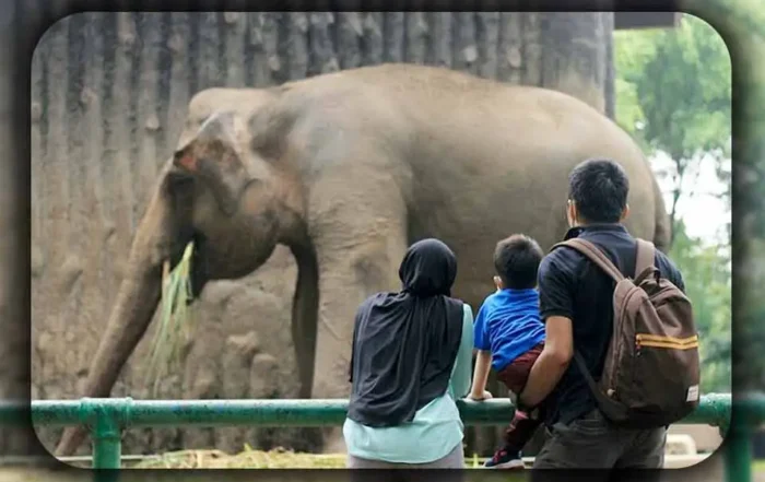 Tips Aman dan Nyaman Keliling Ragunan