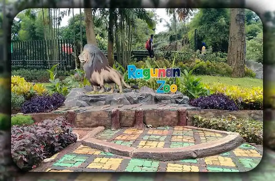 Wahana dan Koleksi Satwa di Ragunan
