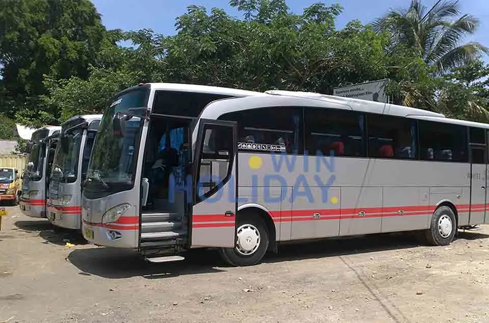 bus00062